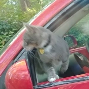 Meet your Posher, Rosalie